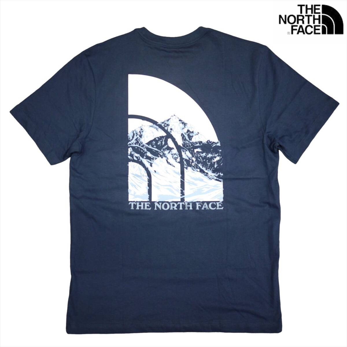 USA限定新品 ノースフェイス グラフィック 半袖 Tシャツ (L) シャディーブルー 青系 THE NORTH FACE /fa67拍卖