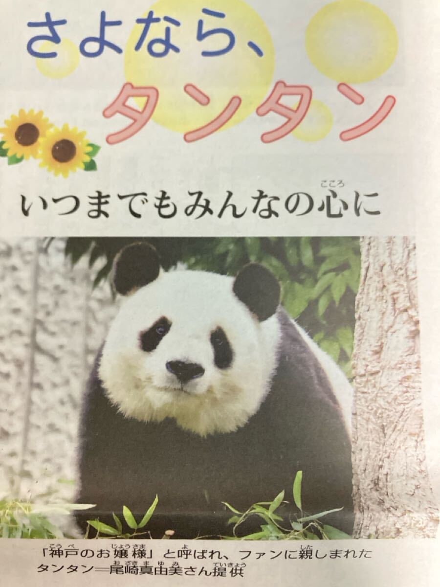 珍品稀少 2024年4月11日(木) 毎日小学生新聞 さよなら、タンタン ジャイアントパンダ 新聞記事 神戸市立王子動物園拍卖