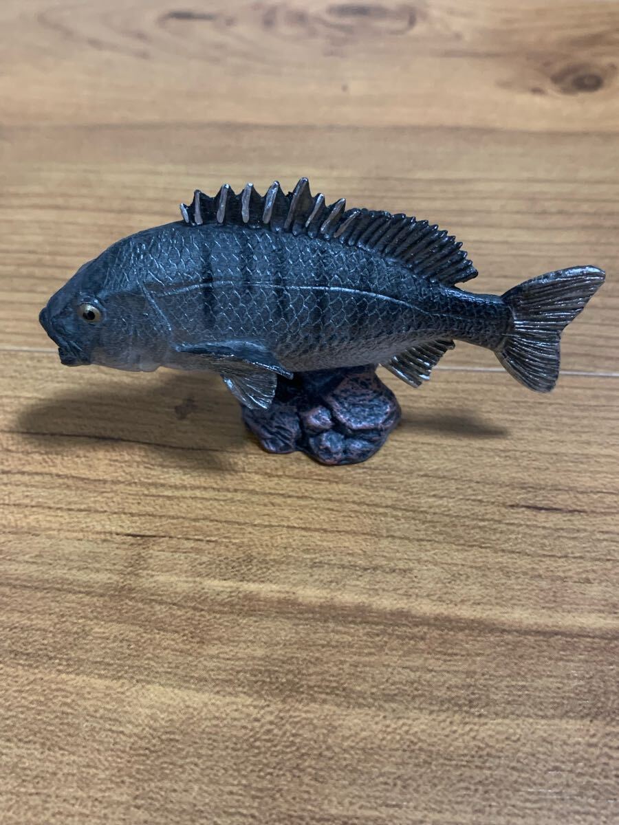 ☆フェバリット アクアフィッシュ クロダイ チヌ 黒鯛 フィギュア Favorite ☆検 海洋堂 生き物 シリーズ 魚 海 拍卖
