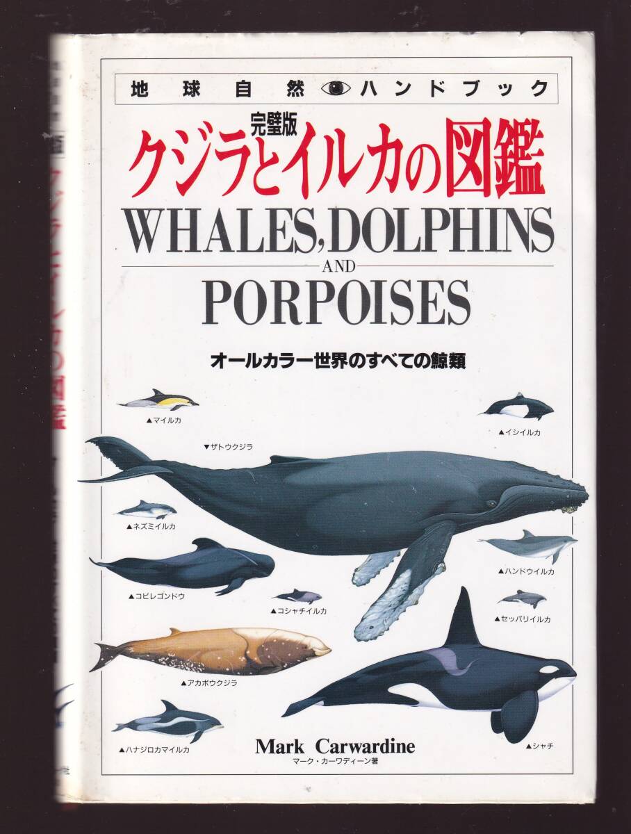 完璧版 クジラとイルカの図鑑 オールカラー世界のすべての鯨類 マーク カーワディーン著 日本ヴォーグ社拍卖