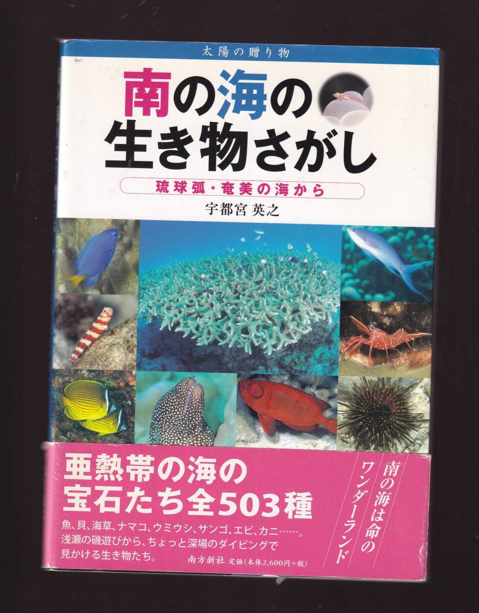 南の海の生き物さがし 琉球弧・奄美の海から 宇都宮英之 南方新社 (奄美大島 ダイビング拍卖