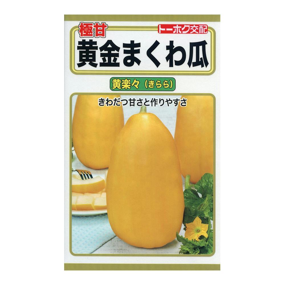 送料無料 黄金まくわ瓜 黄楽々 10粒拍卖