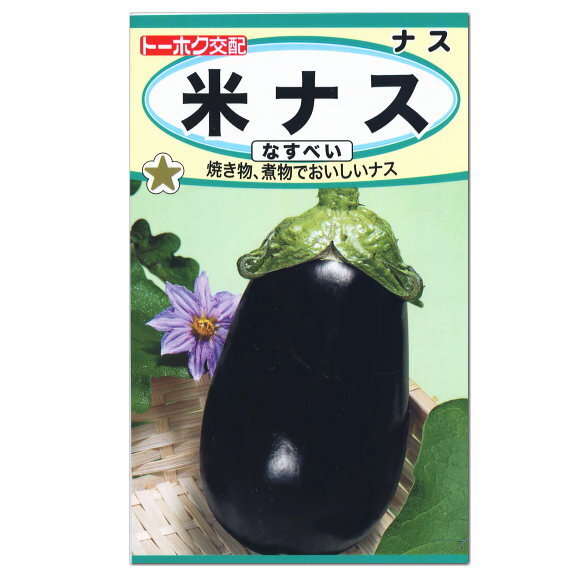 送料無料 米ナス なすべい 12粒拍卖