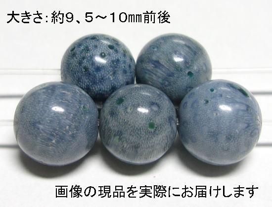 (閉店価格)NO.2 スポンジコーラル青 10mm(5粒入り)<お守り・慈愛> 天然の色合い 仕分け済み天然石現品拍卖