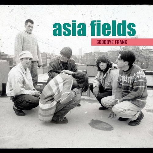 ASIA FIELDS / GOODBYE FRANK (LP)拍卖
