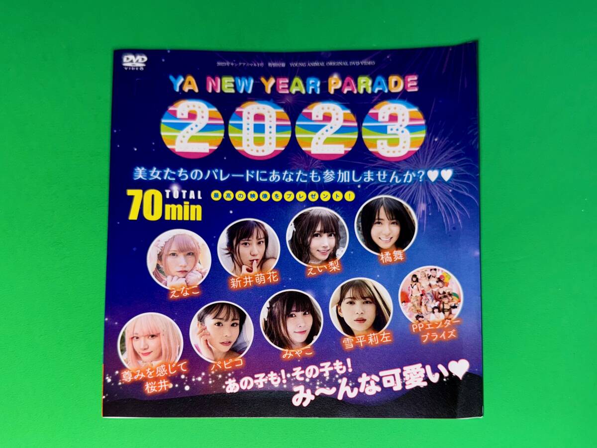 E31☆未開封非売品/70分DVD/ヤングアニマル2023年1号付録のみ/えなこ,新井萌花,えい梨,橘舞,尊みを感じて桜井,パピコ,みゃこ,雪平莉左,PPエ拍卖