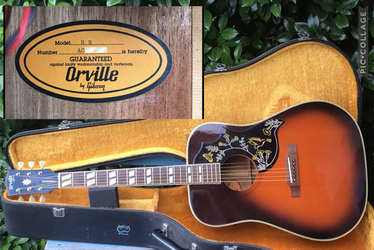Orville by Gibson ギブソン ハミングバード モデル拍卖