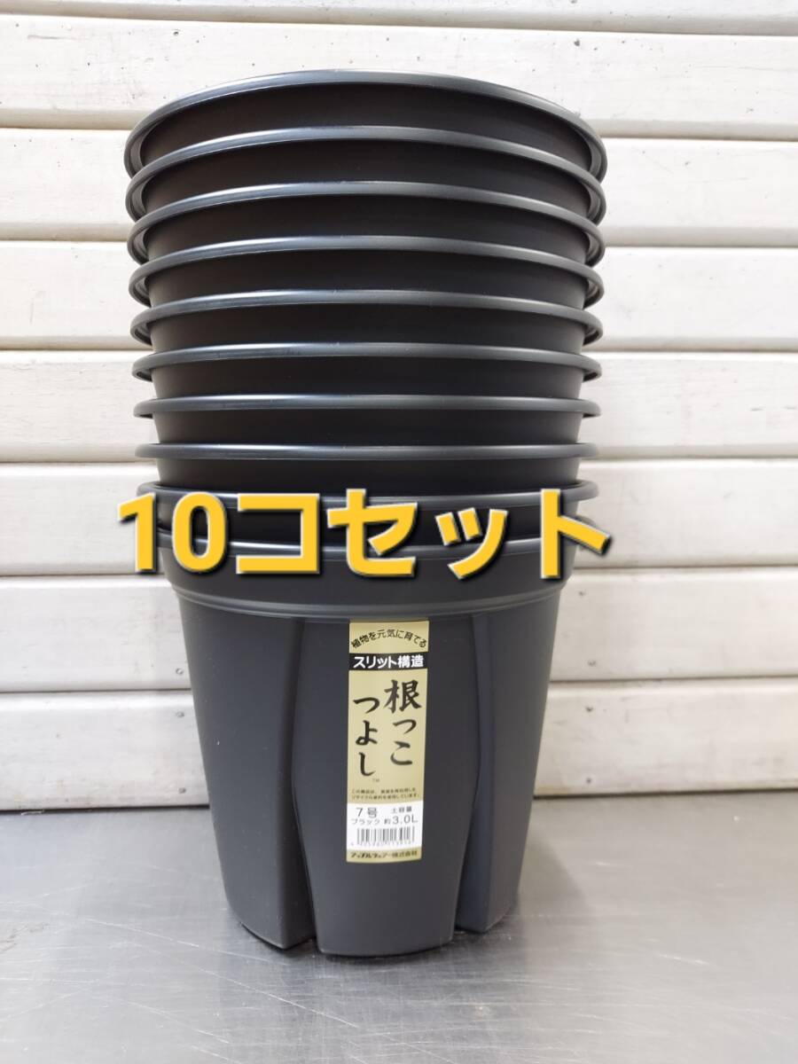 送料無料★セットでお買い得! 植物の生育環境を整えるスリット構造!アップルウエアー 根っこつよし 7号 10P拍卖