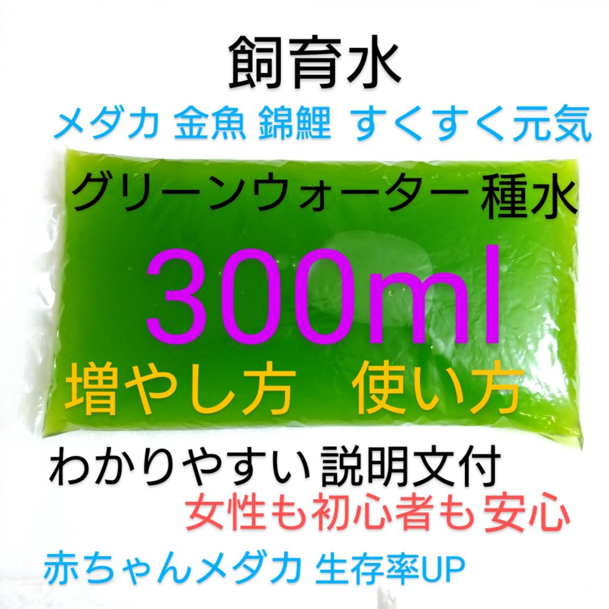 グリーンウォーター 種水300ml メダカ 金魚 錦鯉 すくすく元気 針子 毛子 稚魚 生存率UP ミジンコ の 餌 説明文付 土拍卖
