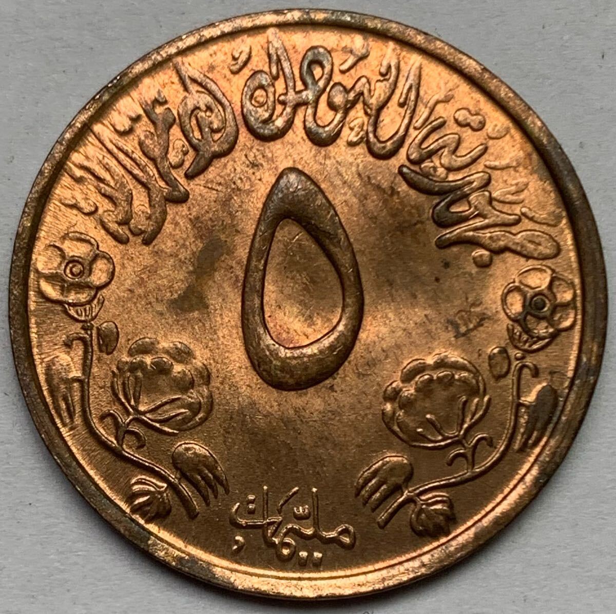 海外コイン スーダン 5ミリーム記念硬貨 FAO 1972年 (1392年)拍卖