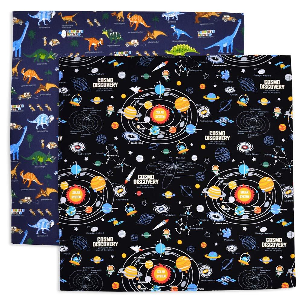 COLORFUL CANDY STYLE ランチクロス 男の子 子供用 給食 2枚組 スタンダード 45cm×45cm 太陽系惑星と恐竜大陸セッ拍卖