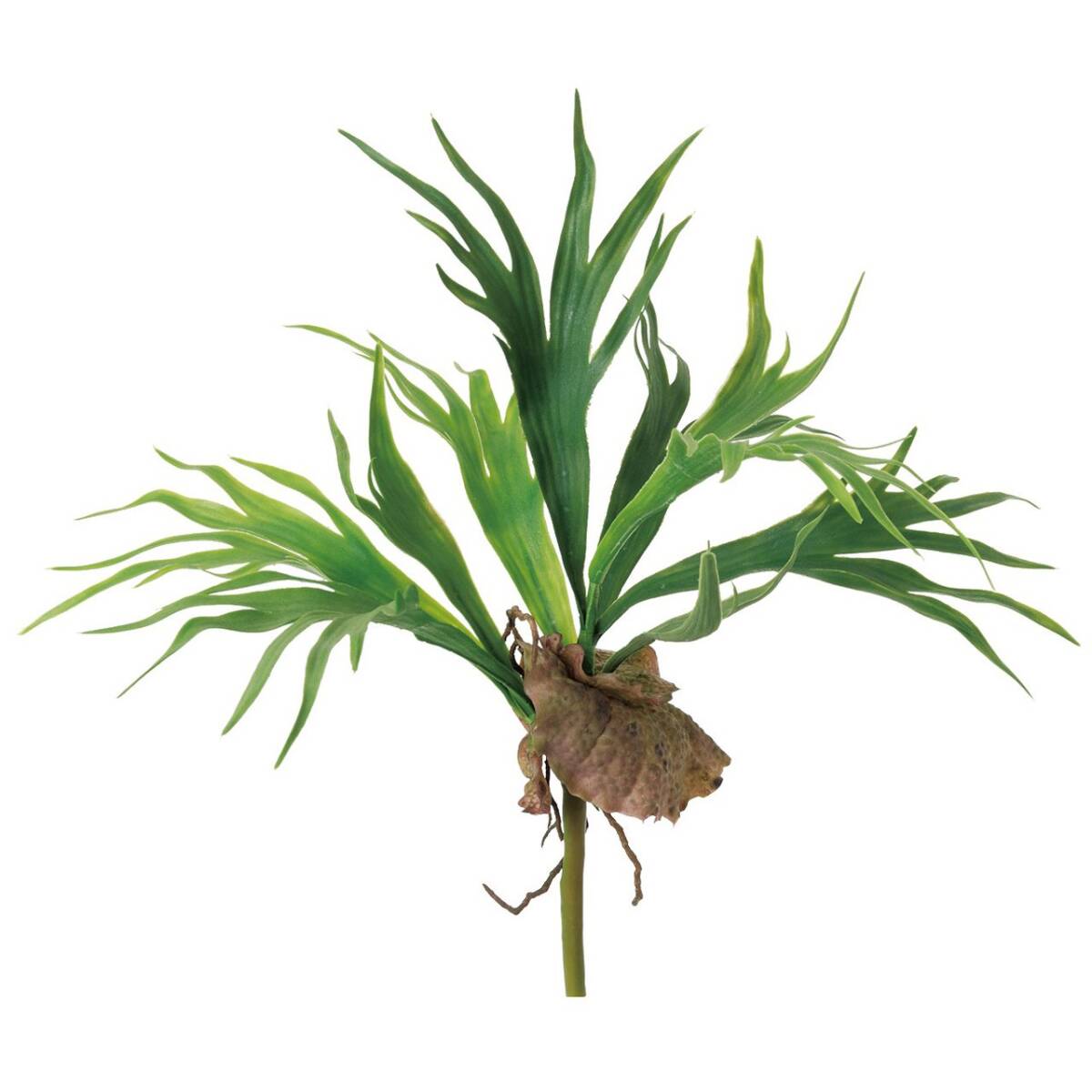 東京堂 造花 MAGIQ ビカクシダ グリーン 葉L30×L42×W48cm FG001610-zzz拍卖