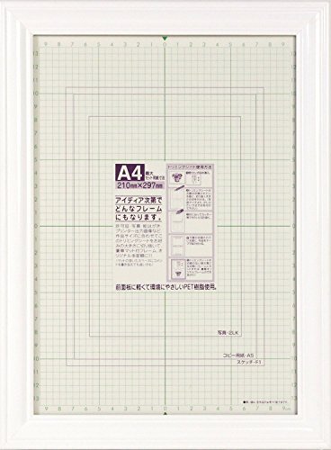 イワタ 額縁 マルチフレーム A4 木製 ホワイト MS-39WH-A4拍卖