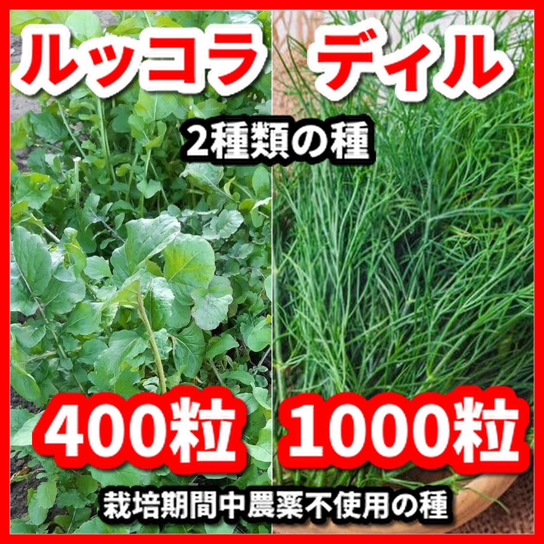 ディル&ルッコラの種【2種類セット】★栽培期間中農薬不使用の種★令和6年11月産拍卖