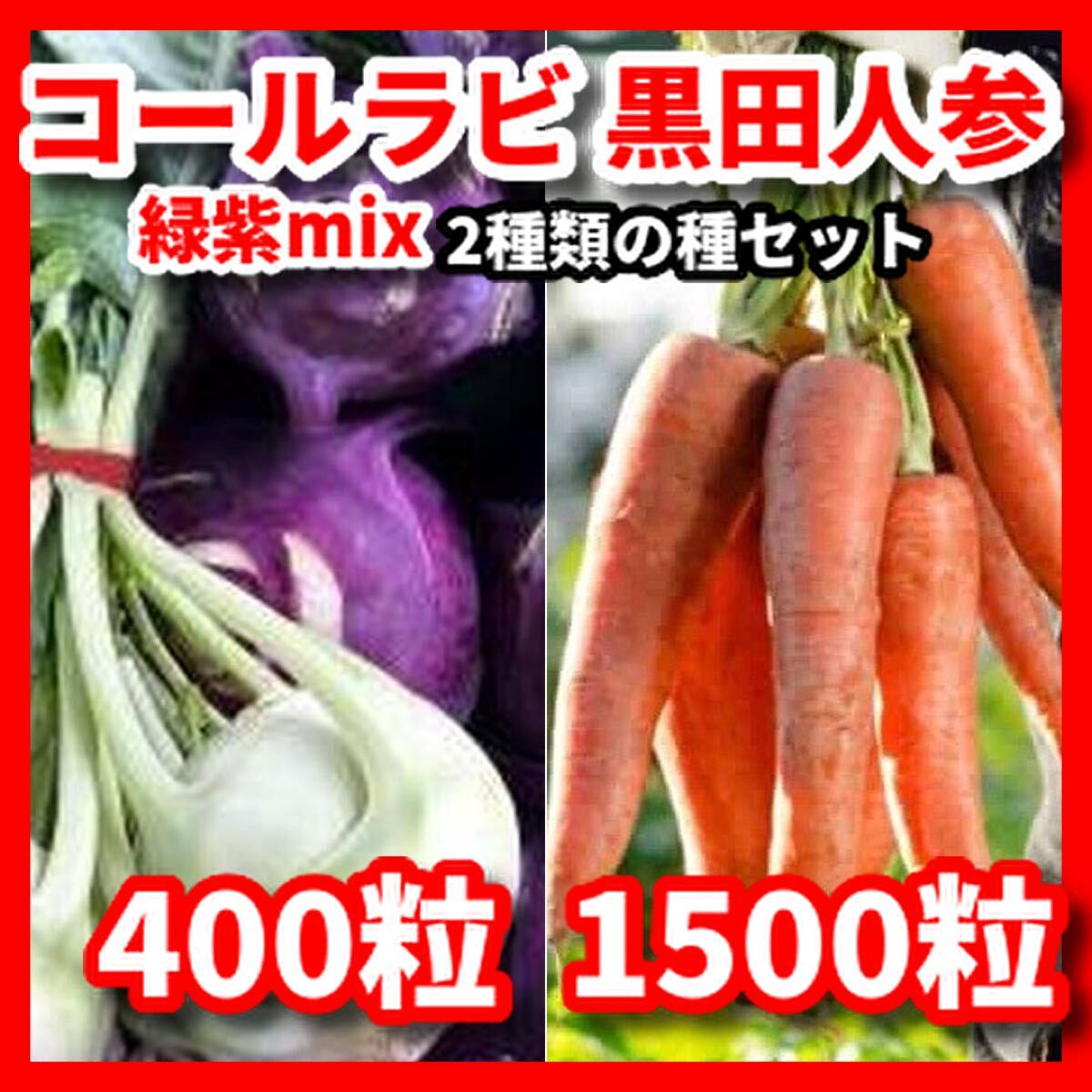 コールラビ緑紫mix&黒田にんじんの種セット★栽培期間中農薬不使用の種拍卖