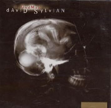 God Man デイヴィッド・シルヴィアン 輸入盤CD拍卖