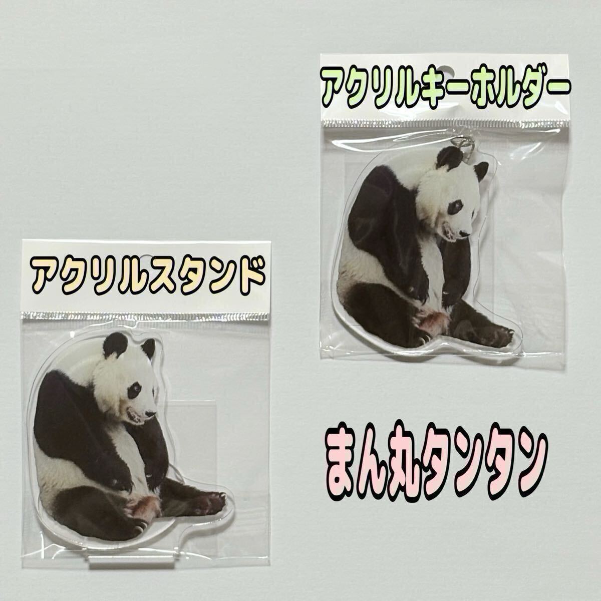 Thanks TanTan タンタン オリジナルアクリルスタンド&キーホルダーセット (まん丸タンタン)/旦旦 アクスタ 王子動物園 シャンシャン拍卖