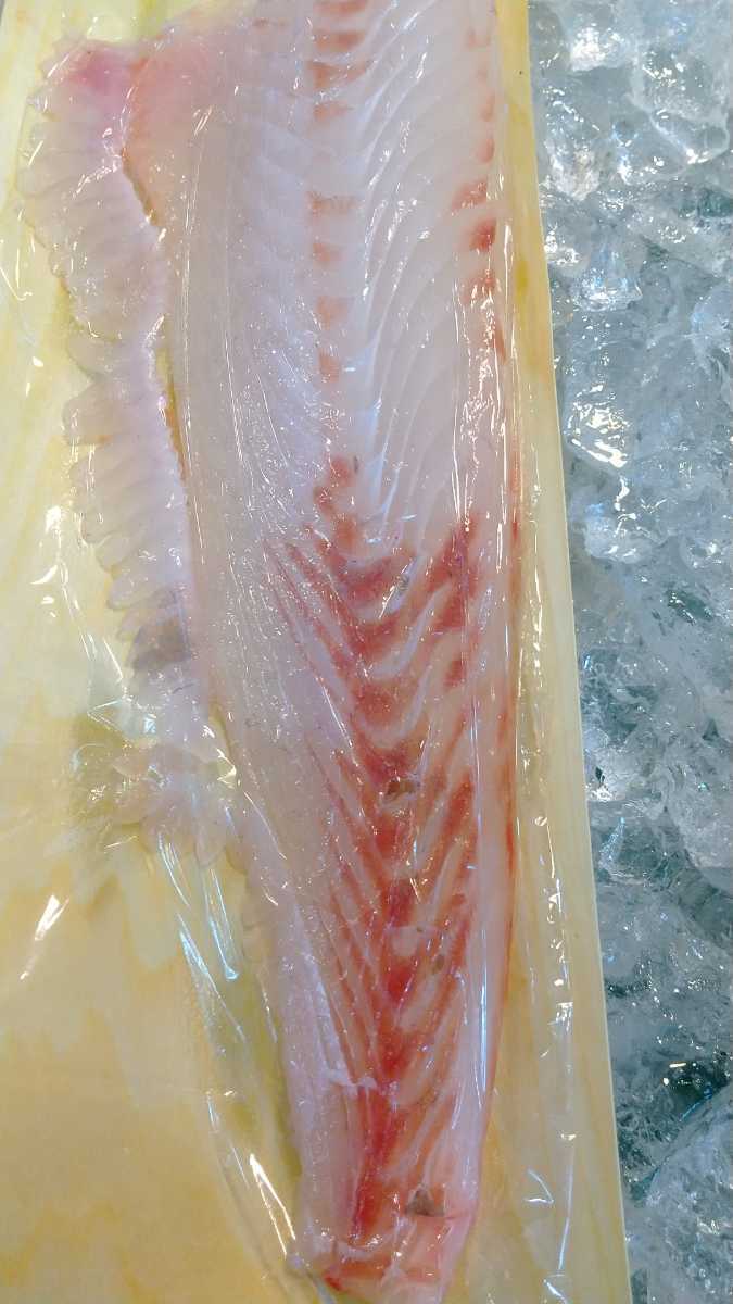 (魚)ヒラメ四半身1900円即決拍卖