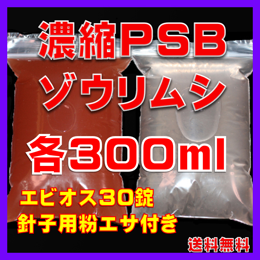 ★送料無料★室内管理濃縮PSB300ml+PSBで培養したゾウリム種水300ml+エビオス30錠+針子用粉エサ+各培養説明付き拍卖