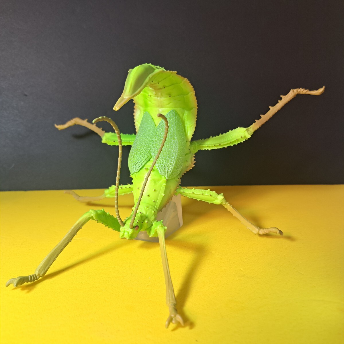 昆虫フィギュアコレクション/ ナナフシ フィギュア拍卖