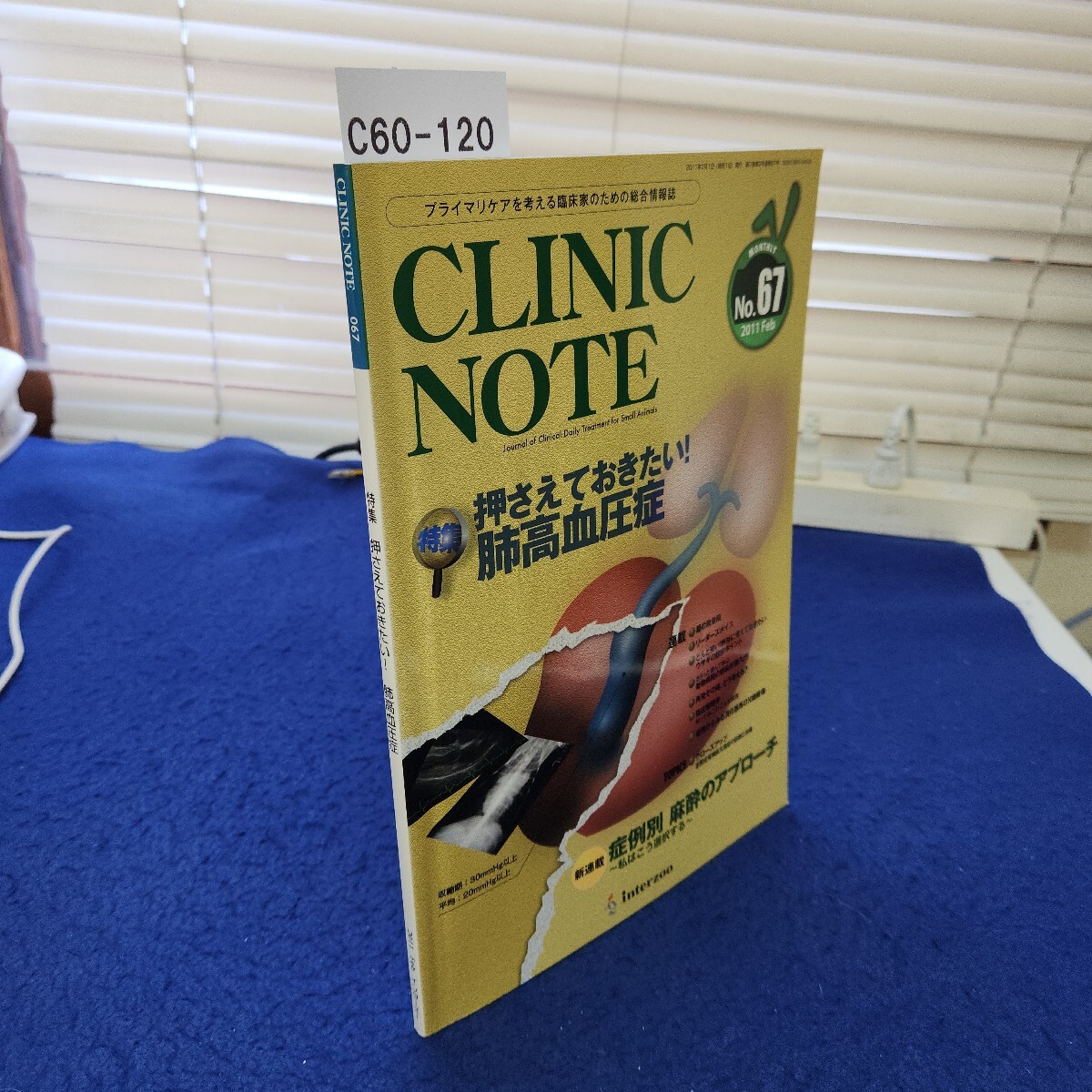 C60-120 CLINIC NOTE 067 特集 押さえておきたい! 肺高血圧症拍卖
