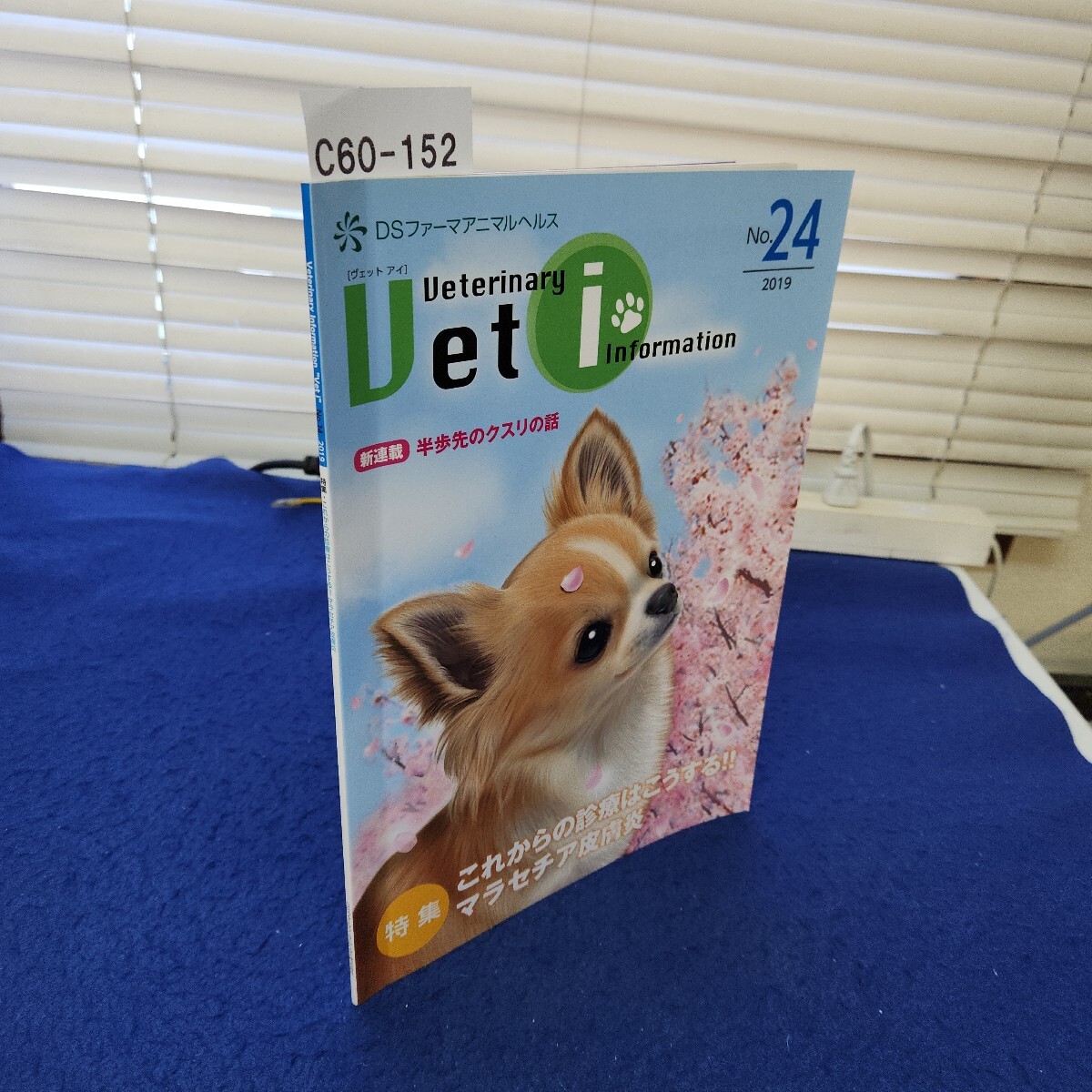 C60-152 DSファーマアニマルヘルス Veterinary Infomation Vet I No.24 2019 特集・これからの診療はこうする!! マラセチア皮膚炎拍卖