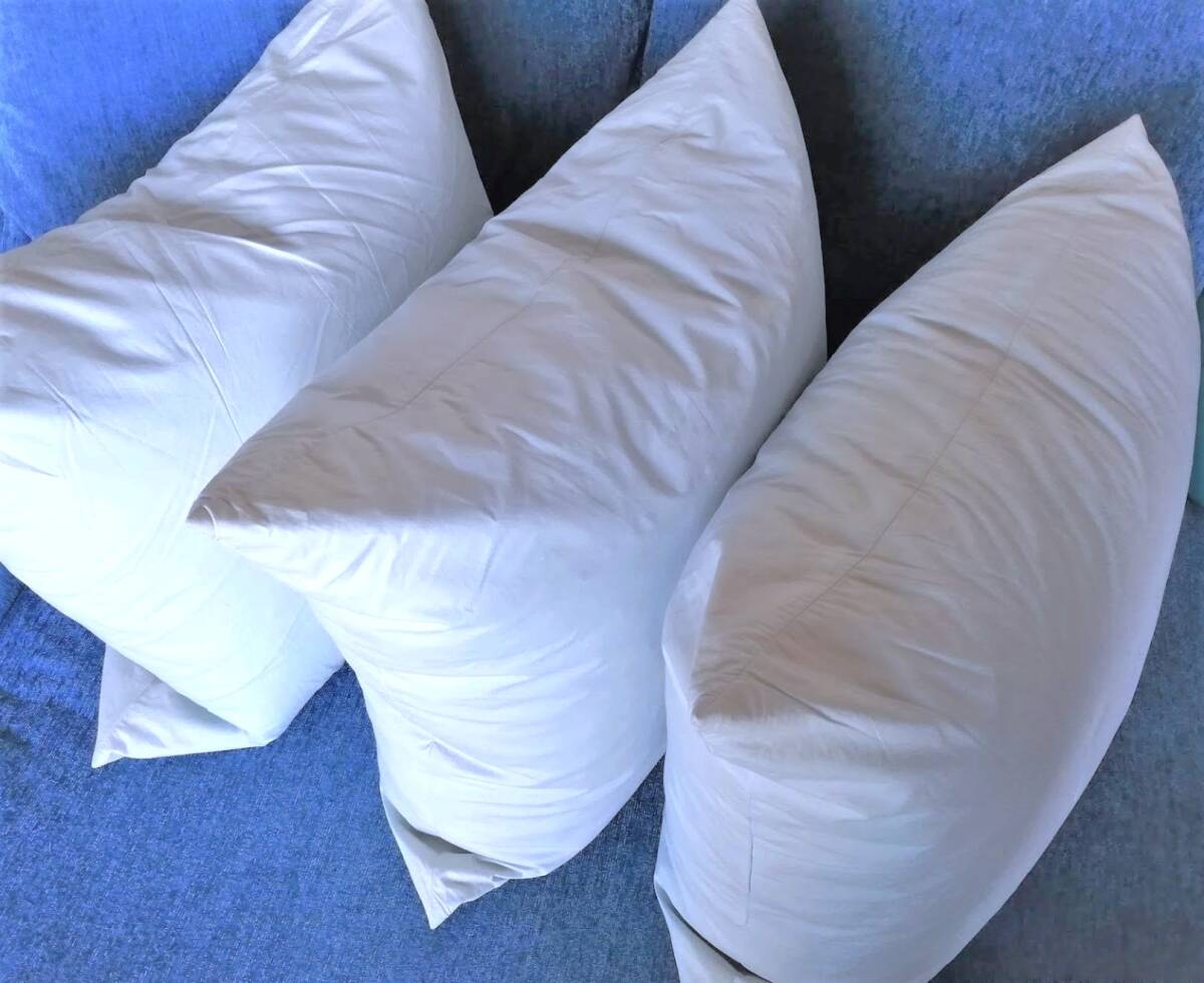 ★送料無料★ 水鳥羽毛クッション/座布団 ヌードクッション中身 日本製拍卖