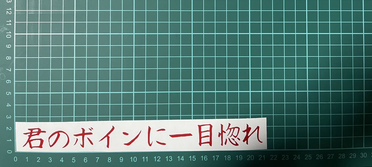 カッティングステッカー 車 シール トラック デコトラ ポエム 文字 おもしろ バイク ジョーク 詩 ステッカー 下ネタ拍卖