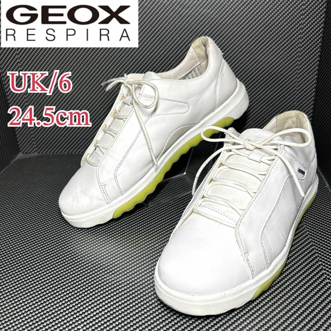 ★美品★GEOX ジェオックス レザー ローカット スニーカー US6/24.5cm拍卖