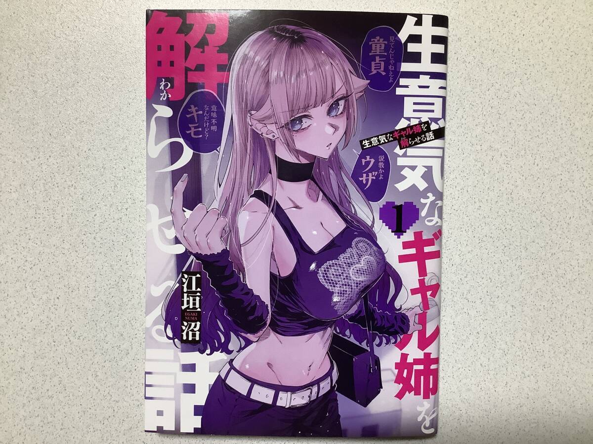 【初版本・極美品】生意気なギャル姉を解らせる話 1巻 ちょいエロ セクシー ツンデレ こじらせ 姉弟拍卖