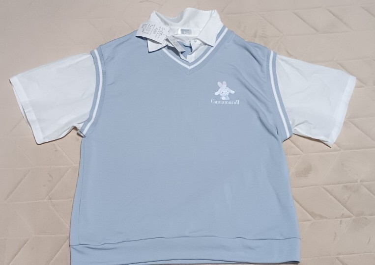 シナモン 半袖 重ね着風 3L~4L サックス拍卖