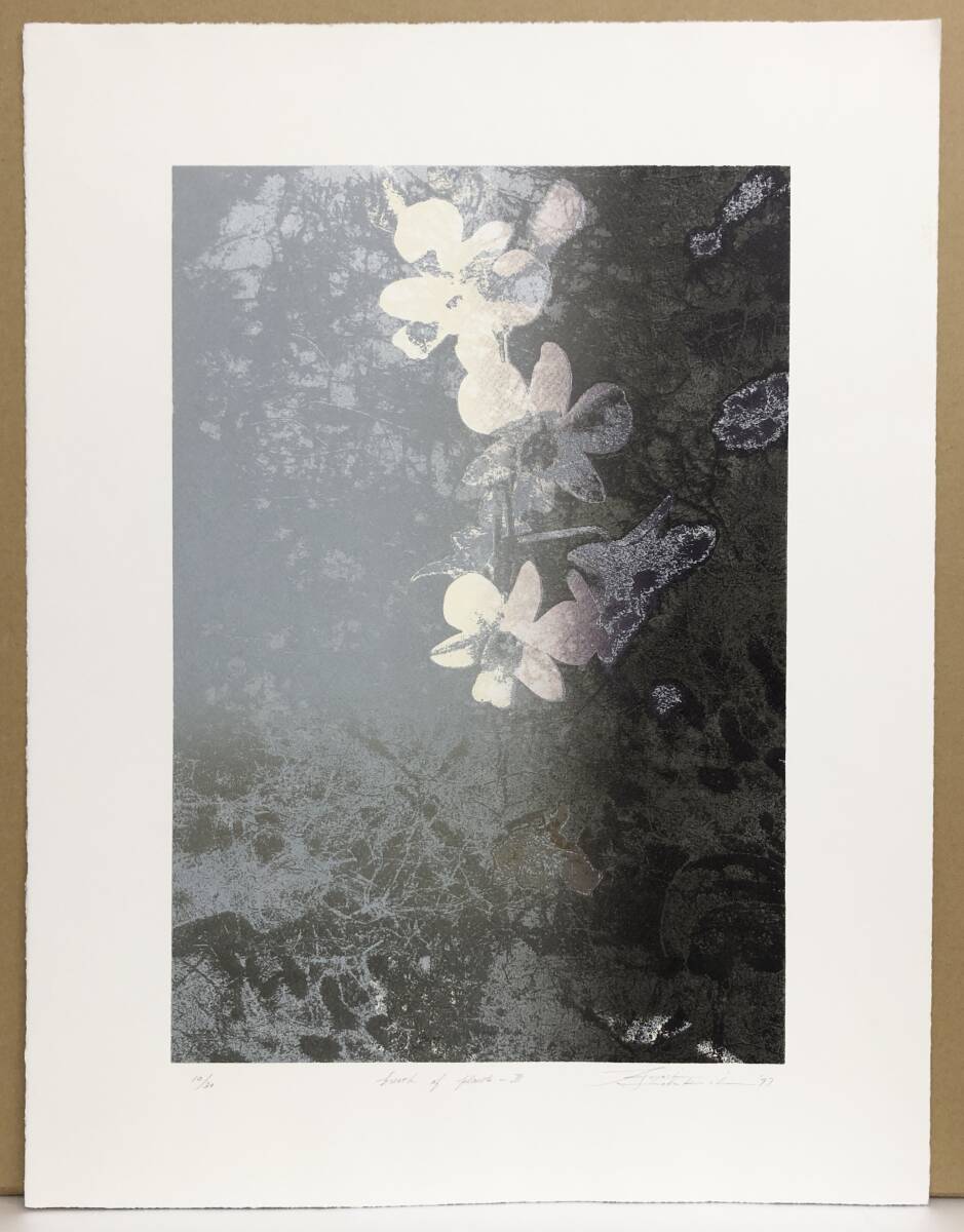 平垣内清『breath of plants - Ⅲ』リトグラフ ed.10/30. 鉛筆サイン シートのみ 1997年制作拍卖