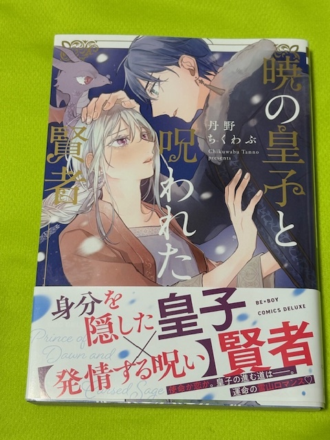 ★暁の皇子と呪われた賢者★丹野ちくわぶ★送料112円拍卖