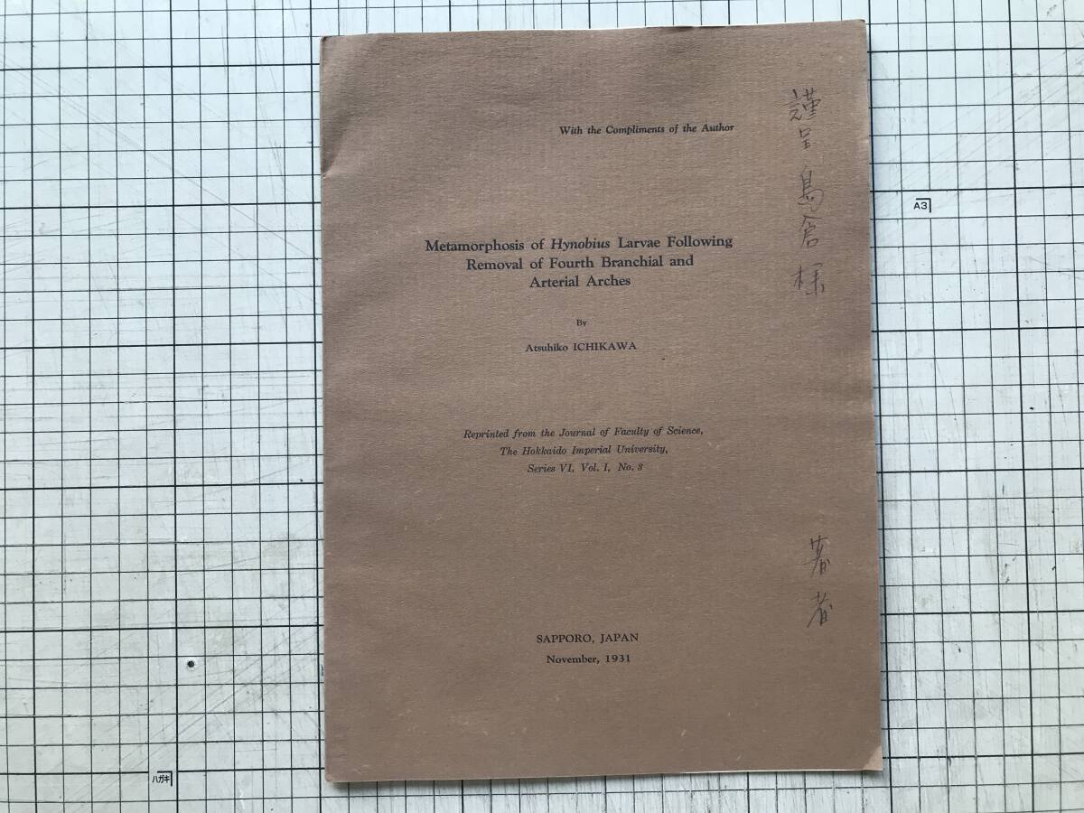 『Metamorphosis of Hynobius Larvae Following Removal of Fourth Branchial and Arterial Arhes 別刷』市川純彦 1931年 ※札幌 他 00304拍卖