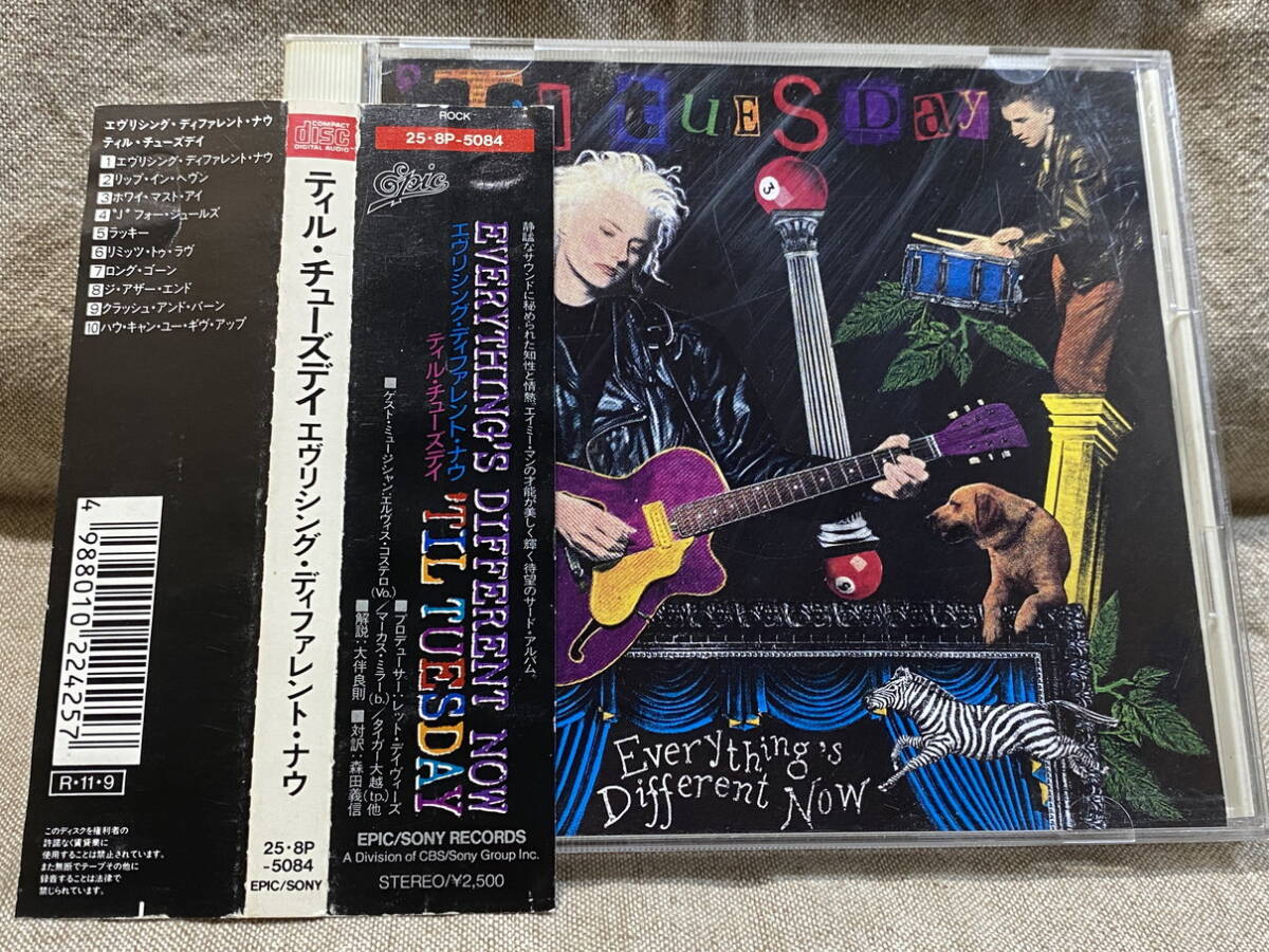 TIL TUESDAY - EVERYTHING'S DIFFERENT NOW 25・8P-5084 国内初版 税表記なし2500円盤 帯付 廃盤 レア盤拍卖
