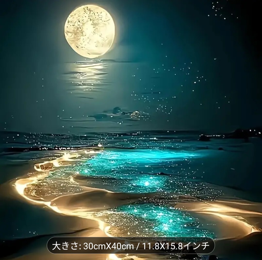 ダイヤモンド ペインティング ダイヤモンドアート 30cm×40cm ラウンド(丸)月光 海 ① 拍卖