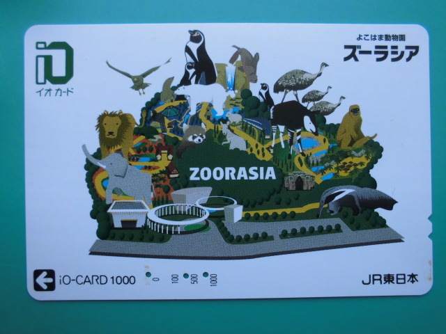 イオカード 使用済 よこはま動物園 ズーラシア 【送料無料】拍卖