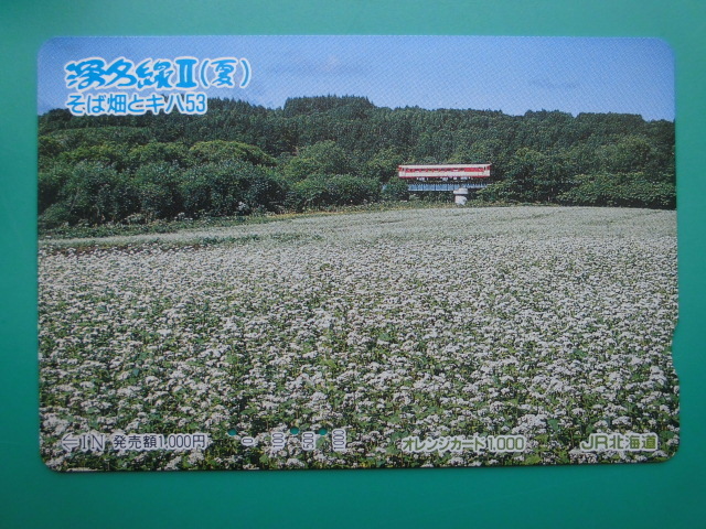 JR北 オレカ 使用済 深名線 Ⅱ 夏 そば畑 キハ53 【送料無料】拍卖
