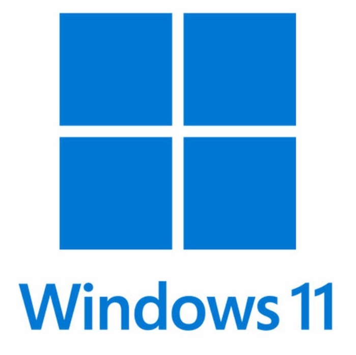 ① Windows 11 アップグレード 要件回避 ファイル拍卖