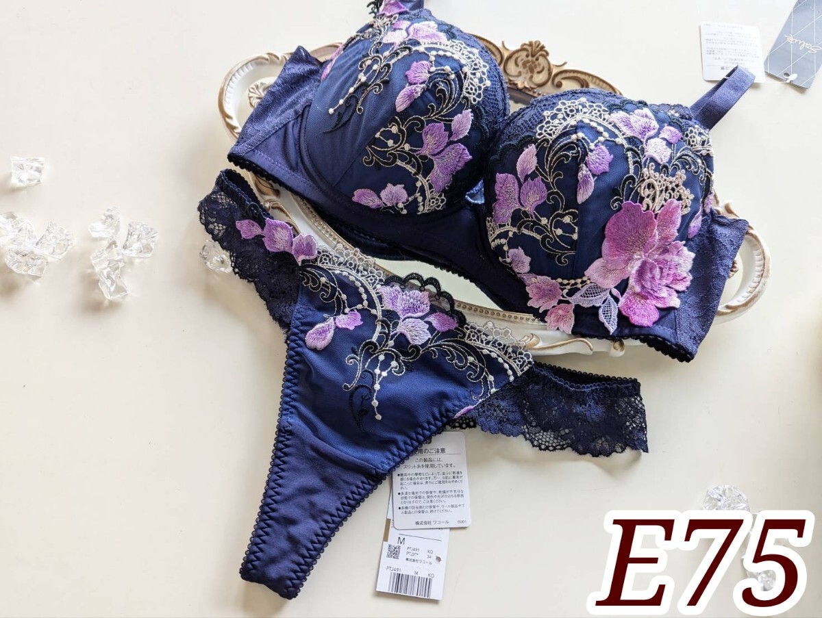 サルート91 「のだめカンタービレ」E75+ソングLサイズ リッチヴェールブラ KO拍卖