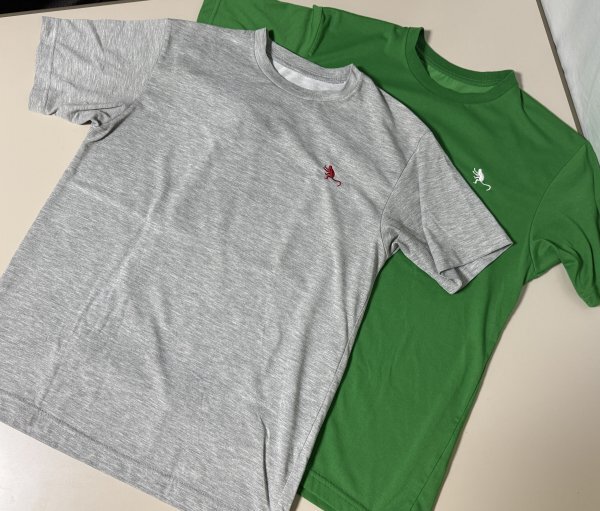 即決!ノースフェイスの半袖Tシャツ、モンキー マジック ティー 2枚セット、NT31430、Mサイズ、拍卖
