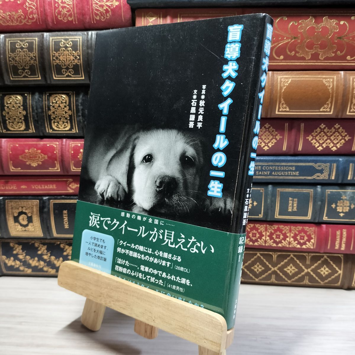 8-1 盲導犬クイールの一生 秋元良平、石黒謙吾 020694拍卖