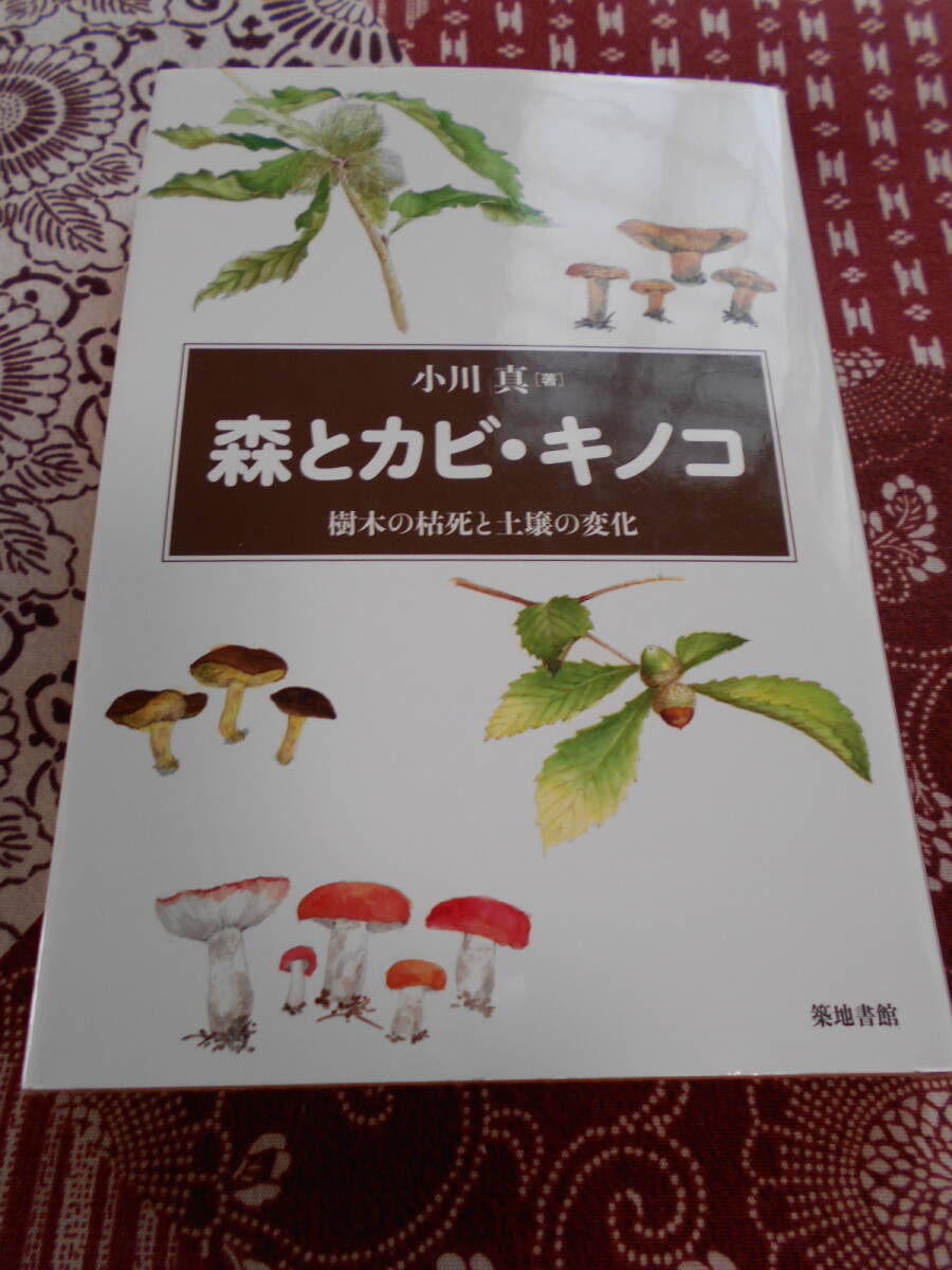 ★森とカビ・キノコ 樹木の枯死と土壌の変化 小川真★日本の自然が壊れていっています。環境破壊はいつ終わるのか、終わらないのか、、拍卖
