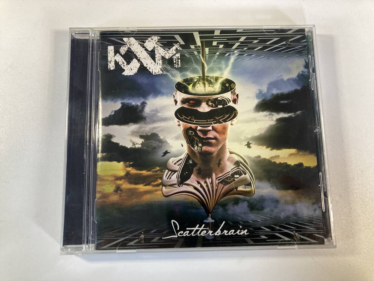 【1】19213◆KXM/Scatterbrain◆輸入盤◆拍卖