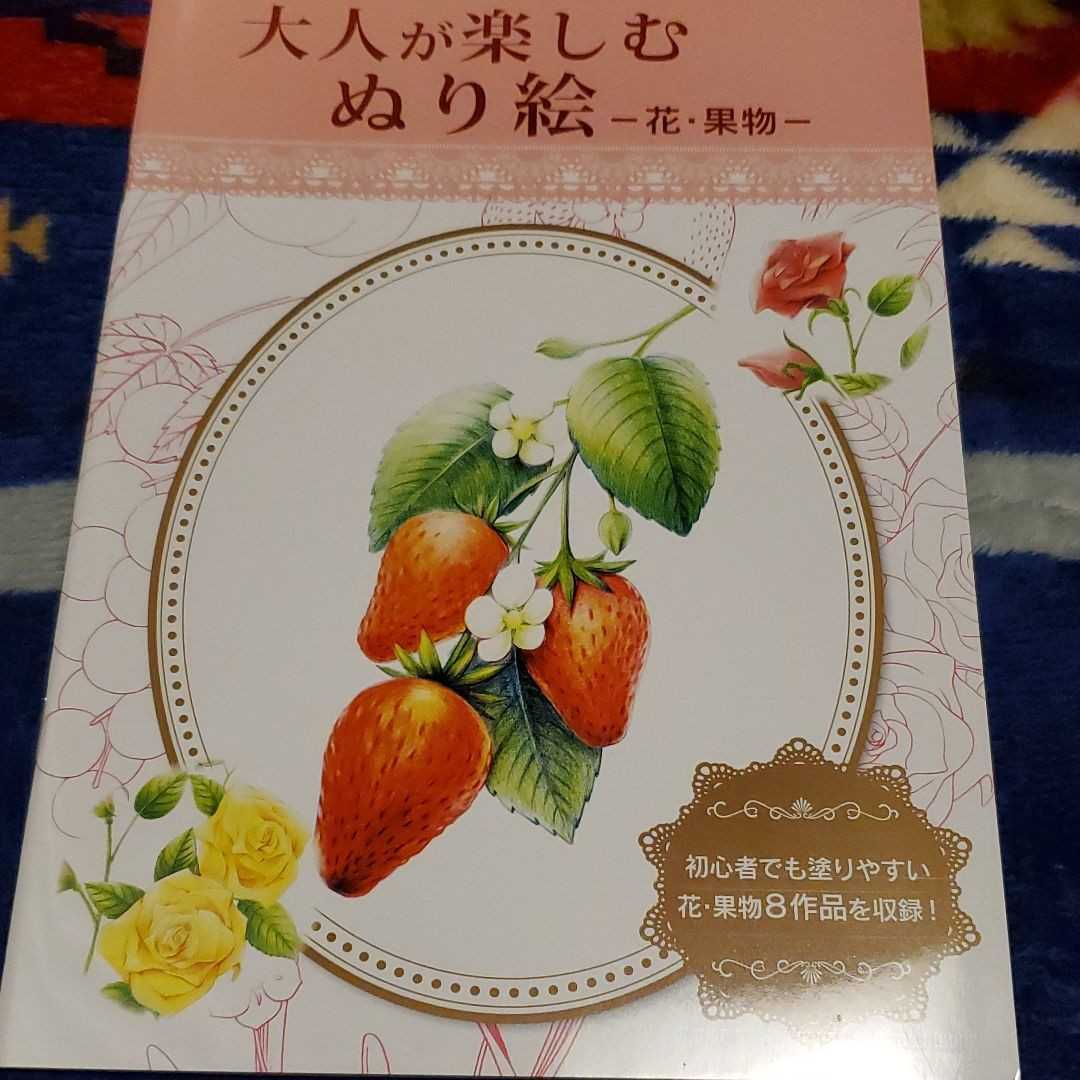 大人の塗り絵/果物花拍卖