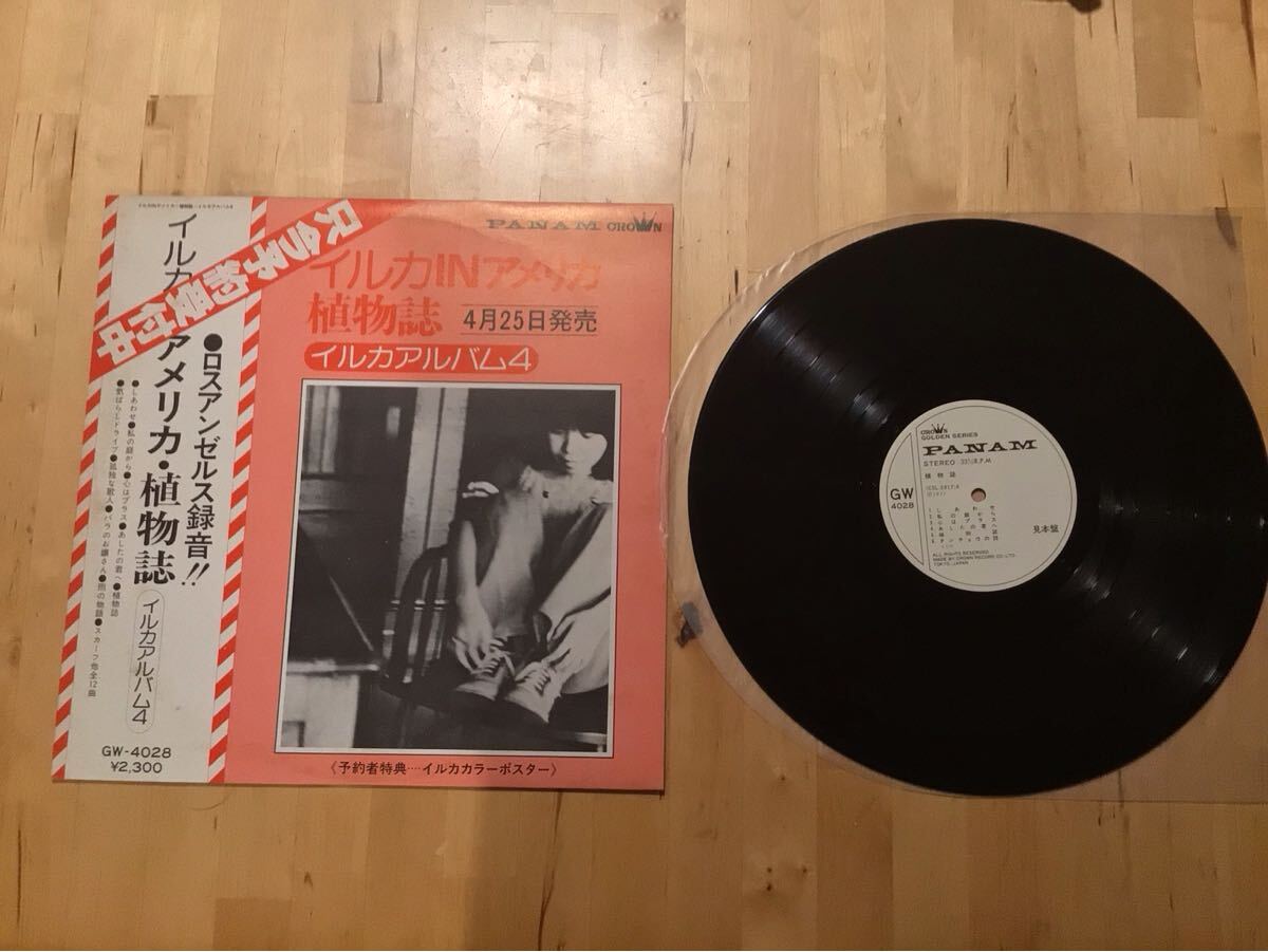 【見本盤LP】イルカ IN アメリカ 植物誌 イルカアルバム4 (GW-4028) / 伊勢正三 / 西岡たかし / LA録音 / 77年白プロモ盤拍卖