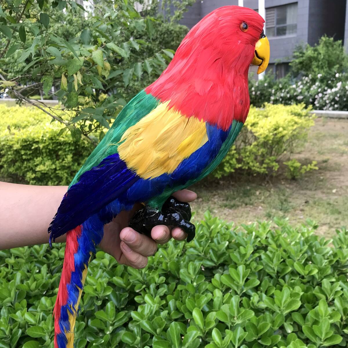 ミニチュア オウム カラフルな鳥 リアル 置物 45cm 大型 大きい かわいい 樹脂像 インテリア 動物 おしゃれ アニマル フィギュア t6845拍卖