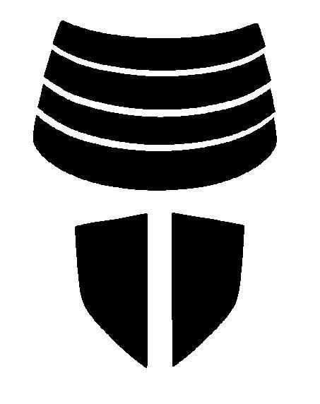 ジョージアグリーン(53%) リヤセット マーク2 (マークII) X10# カット済みカーフィルム拍卖