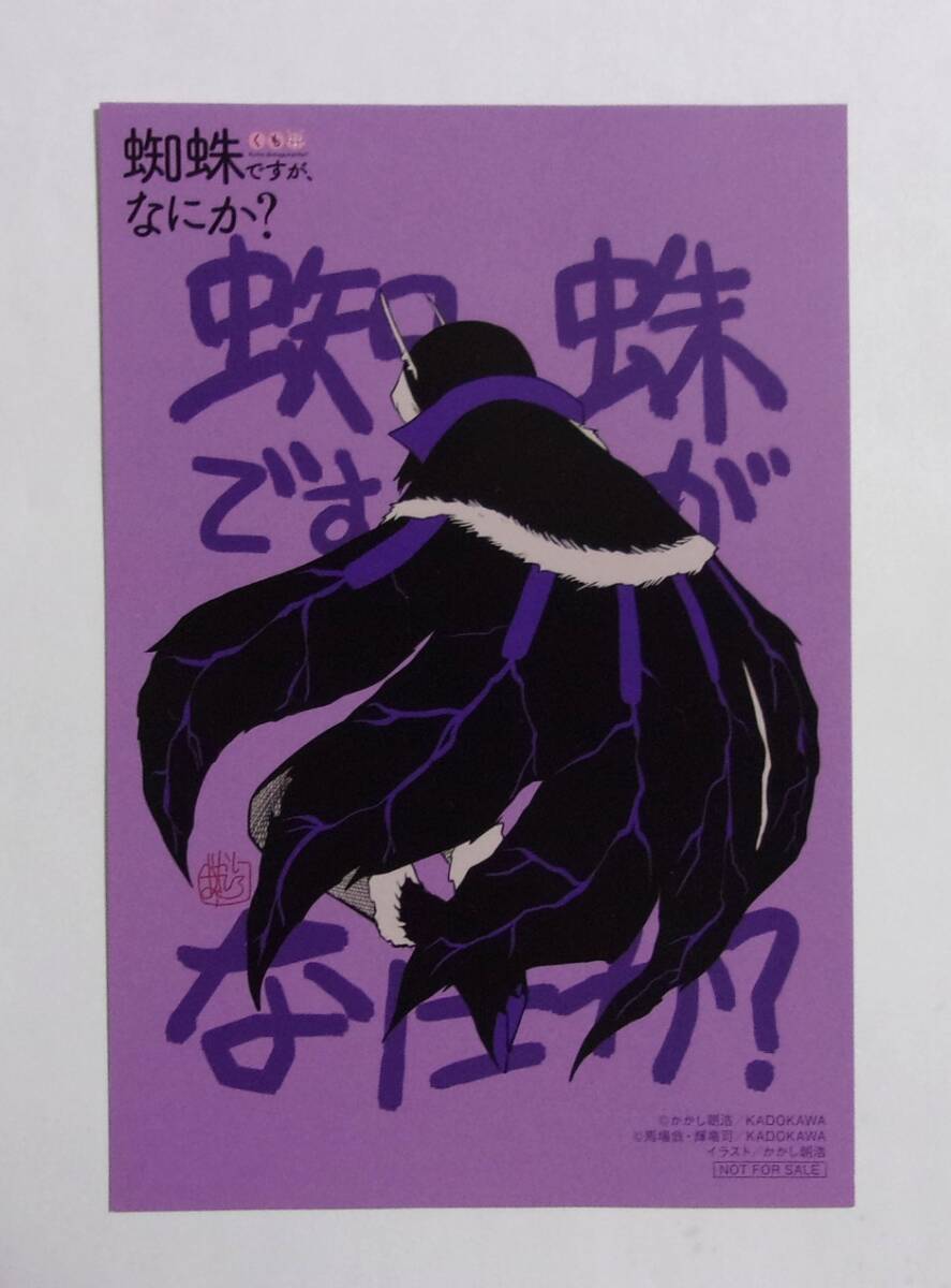 【イラストカード】 蜘蛛ですが、なにか? コミックス購入特典 A かかし朝浩・馬場翁・ 輝竜司/KADOKAWA 非売品拍卖