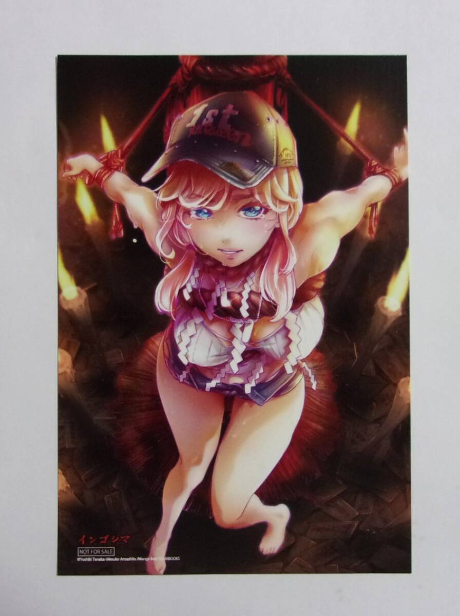 【イラストカード】 インゴシマ 16巻特典 田中克樹・天下雌子/ワニブックス 非売品拍卖